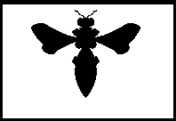 The plan involves turning himself into a bee, and going to fight all of Hexaae's evil mutated insects. This bit is a twinkly, flashy transformation sequence in the game.