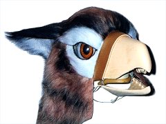 head41_t.jpg (10827 bytes)