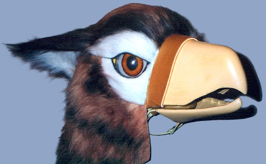 head44.jpg (36594 bytes)