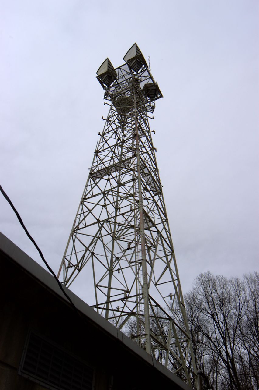 DSC_9599.jpg