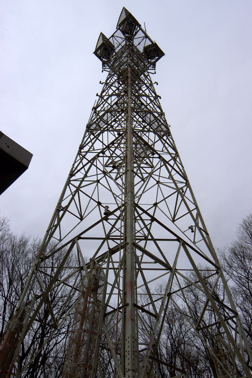 DSC_9601.jpg