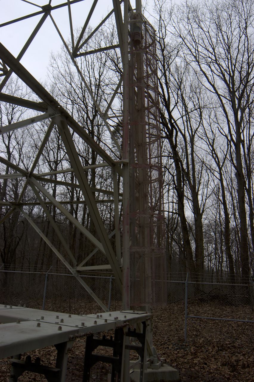 DSC_9629.jpg